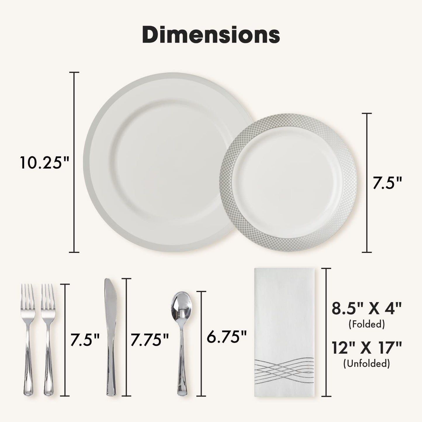 Elegant White and Silver Rimmed Disposable Party Set